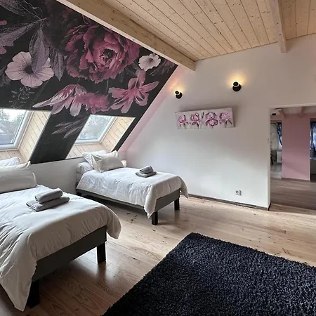 Gite De Charme Avec Spa, Cinema, Billard Et Velo En Campagne Authentique - Fr-1-489-487 * Chavenon