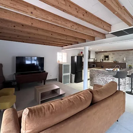 Gite De Charme Avec Spa, Cinema, Billard Et Velo En Campagne Authentique - Fr-1-489-487