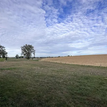 Gite De Charme Avec Spa, Cinema, Billard Et Velo En Campagne Authentique - Fr-1-489-487 Chavenon